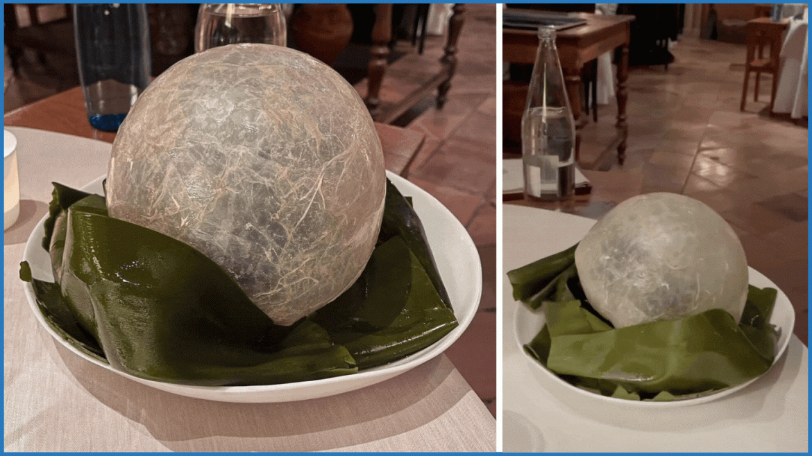 Turbot cuit en vessie