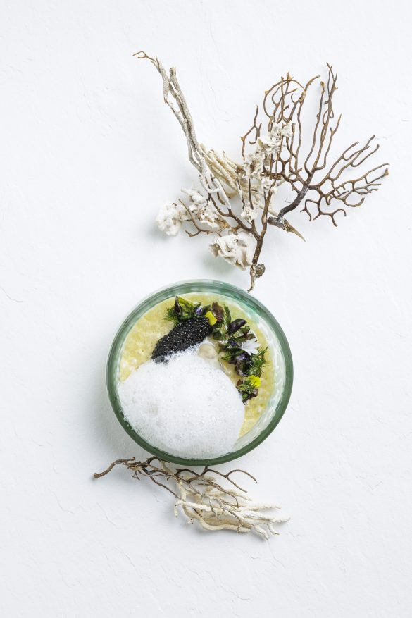 Chateau-des-Tesnieres Responsable de salle / chef sommelier (H/F) – Mosaic, Château des Tesnières à Torcé